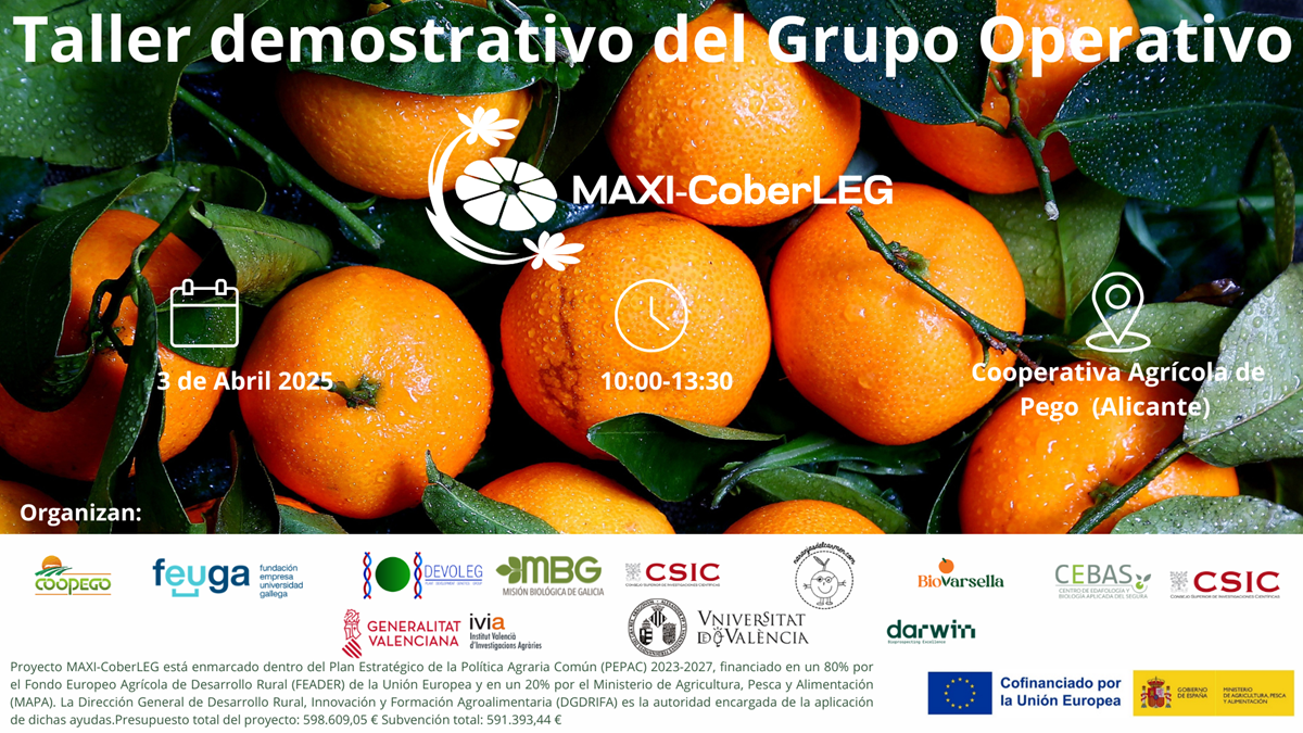 Taller MAXI-CoberLEG Banner Poscosecha